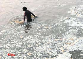 A devotee takes a dip in the polluted sangam of Allahabad
