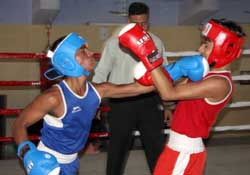 A match in progress at the district boxing championship in Bathinda 