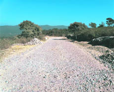 The Dehra-Ranital road stretch that has not been completed for the past three years.