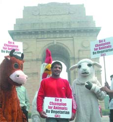 Olympic Bronze medallist Sushil Kumar with members of People for Ethical Treatment of Animals (PETA) hold placards to promote vegetarianism at the India Gate in New Delhi