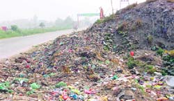 A mound of garbage along the national highway-71 in Rohtak. 