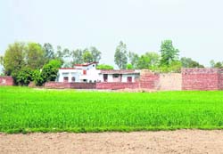 Despite a ban, people are constructing houses and commercial buildings on agricultural land in Jammu.