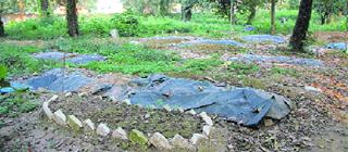 The overcrowed Muslim graveyard of Chandernagar in Dehradun.