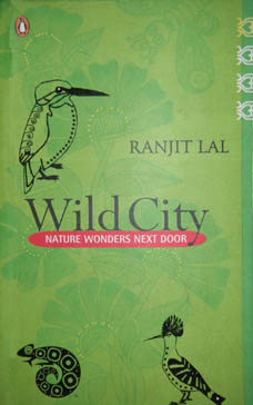 Wild City  Nature Wonders Next Door