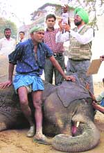 File photo of Laxmi