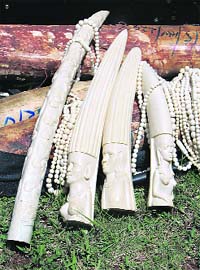 Pieces of ivory and animal skins are displayed during a news conference at the Kenya Wildlife Services headquarters in Nairobi