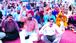 Members of the Punjab and Chandigarh College Teachers Union (PCCTU) during a rally in front of the DCs office in Jalandhar on Wednesday.