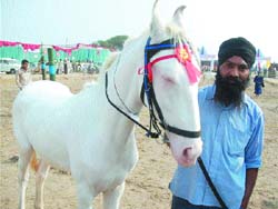 A proud owner with his Nuker breed horse during an animal fair at Vallah mandi 