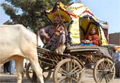 Participants showcase a traditional abode at the fair; Doli,