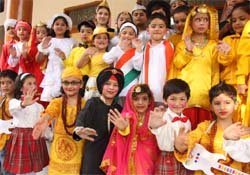 Tiny-tots during the annual function of RBDAV Public School in Bathinda 