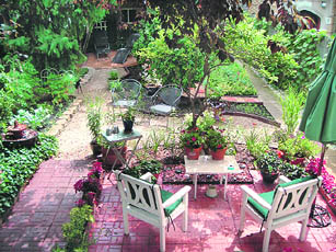 Well-looked-after plants and flowers in or around homes are one of the easiest ways of generating positive energy 
