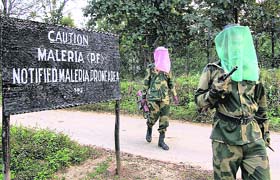 Border Security Force jawans, wearing special net masks to prevent mosquito bites, patrol the malaria-prone Bhagabantilla area 210 km from Agartala
