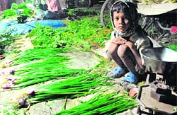 A child braves the chill in Apni Mandi on Monday in Chandigarh