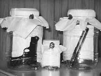Arms and ammunitions that were recovered from the accused in Fatehgarh Sahib