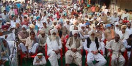 Farmers of Punjabi origin seated in the front row at a rally in Srikaranpur on Thursday.
