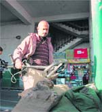 After Mumbai blasts and terrorist strike the police has tightened up the security in Shimla
