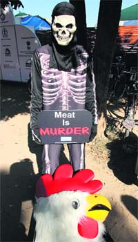 A PETA activist stages a mock funeral of a chicken during a protest against the slaughter practice in the poultry industry outside AGRO TECH 2008 in Chandigarh