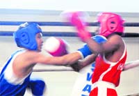 Boxers battle it out during the State Sub-Junior (Boys) Boxing Championship at the Sector 42 sports complex in Chandigarh 