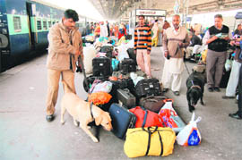 Sniffer dogs and Customs authorities check the Samjhauta Express and luggage of passengers at Attari railway station on Monday. Security has been beefed up at Attari following the Mumbai terrorist attacks.