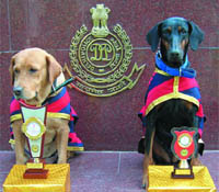 Delhi police dogs  Rozy and Anuradha  that won the first and third prize respectively, in the Dog Show at Haryana Police Academy, Madhuban.