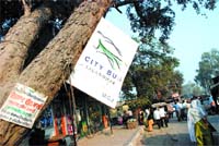 The Municipal Corporation publicises the city bus service by putting up a hoarding on an old tree in Jalandhar