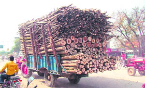 An overloaded tractor-trailer on the Jagadhri highway.