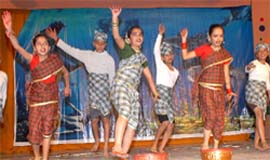 Students performing a cultural programme during the annual day function of Dashmesh Senior Secondary School in Bathinda