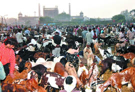 Muslims buy goats at a makeshift livestock market in front of Jama Masjid, ahead of the Eid al-Adha on Tuesday.
