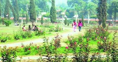 Students enjoy themselves in the sun on the Kurukshetra University campus
