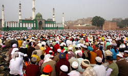 Muslims offering prayers on the occasion of Eid-ul-Zuha at a mosque in Bathinda on Tuesday. 