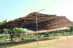 Tents cover the university ground even after the conclusion of the forest games at Panjab University in Chandigarh