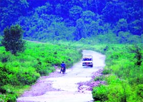 This is what motorists have to manoeuvre their vehicles through at several places in Dhaliara-Didasila area in Kangra district