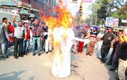 Members of the All-Punjab Truck Operators Union burn the effigy of the union petroleum minister in protest against the little cut in the prices of petrol and diesel at the Company Bagh chowk in Jalandhar