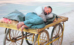 A rehriwala enjoys an afternoon siesta in Dehradun on Thursday.