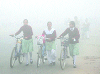 Students trudge to their school on a cold foggy morning in Jalandhar on Thursday.
