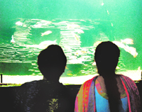Visitors at the Bahu aquarium in Jammu.