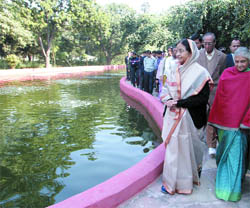  President Pratibha Patil with Chief Minister Sheila Dikshit during the inauguration of  Nature Trail at the Rashtrapati Bhavan in New Delhi on Saturday.