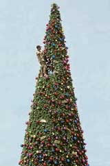 A worker puts the finishing touches on a 15-meter-tall Christmas tree in Dili, East Timor