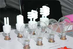 CFL bulbs displayed on Energy Conservation Day in Dehradun on Sunday. 