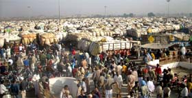 A large numbers of tractor-trailers carrying cotton awaiting purchase in Abohar