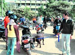 A security personnel, with a sniffer dog, checks the parking area in the Mini Secretariat in Faridabad after a hoax bomb call