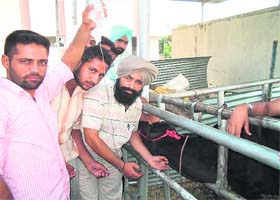 Prospective dairy entrepreneurs at the training centre at Chatamli in Ropar district