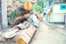 An uprooted tree blocks the road near Dingle Estate in Shimla.