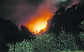 Forest fire which broke out near Chakkar at Shimla on Tuesday night