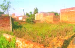 A view of one of the unauthorised colonies mushrooming in Batala.