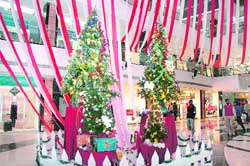 A bedecked mall ahead of Christmas in Ludhiana. Photo: Rajesh Bhambi