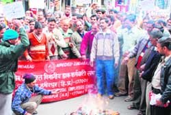Postal employees burn an effigy of deputy director-general of postal services at the Gandhi Chowk at Hamirpur