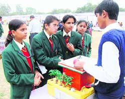 Schoolchildren discuss a model at the state school science exhibition organised at the SCERT, Gurgaon, on Friday.