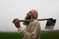 Buta Singh, a farmer, looks towards the overcast sky in his wheat field in Mehraj village of Bathinda