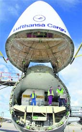 This file photo shows employees of Lufthansa Cargo controlling the freight of a Boeing 747 airplane at the airport in Frankfurt/M., western Germany. The leading German airline Lufthansa will cut its freight capacity by 10 per cent in January 2009 owing to a marked drop in demand, it said on Monday, a further sign of the global economic slowdown.  AFP